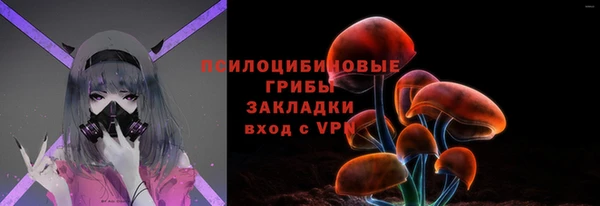 хмурый Аркадак