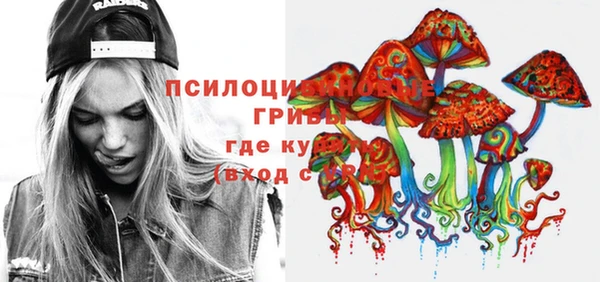 эйфоретик Алексин