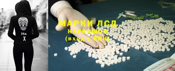 хмурый Аркадак