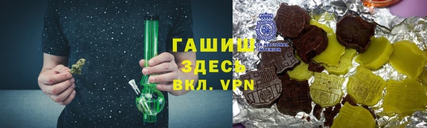 хмурый Аркадак